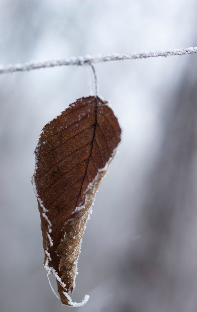 Réflexion de fin&nbsp;d'année
