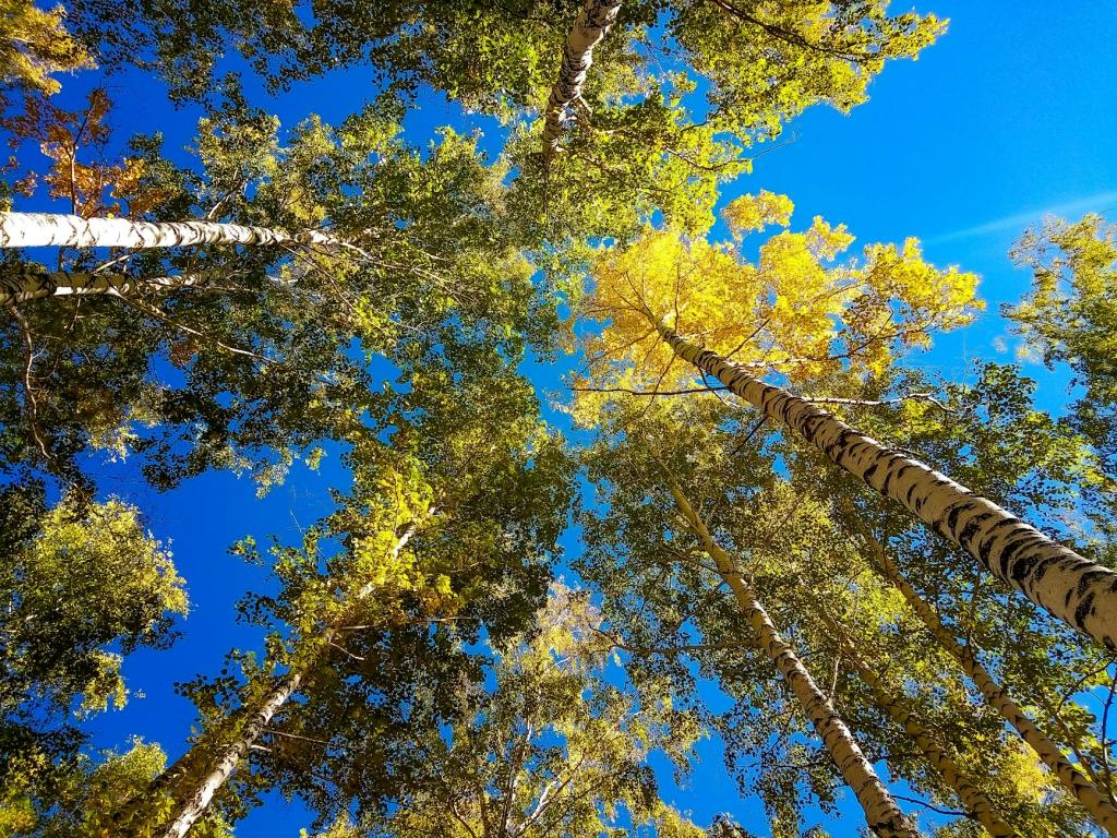 En long et en&nbsp;large