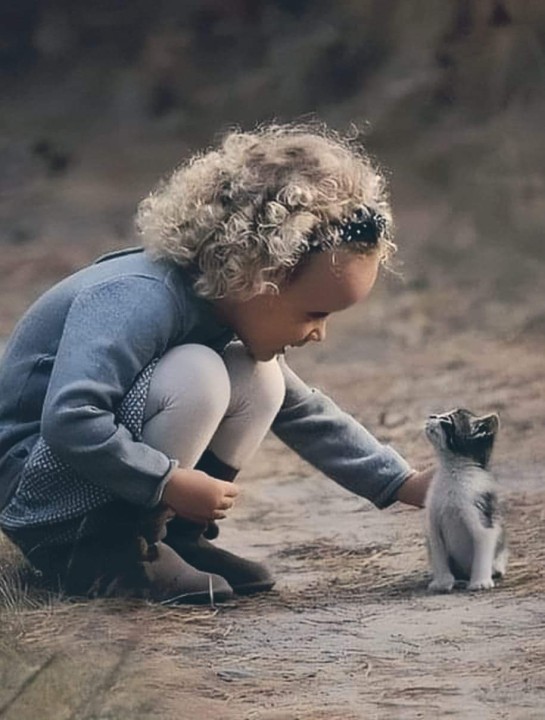 L&rsquo;art de la&nbsp;gentillesse